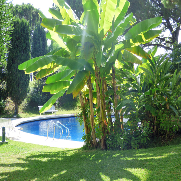 Offres de vente Appartement Nice 06300